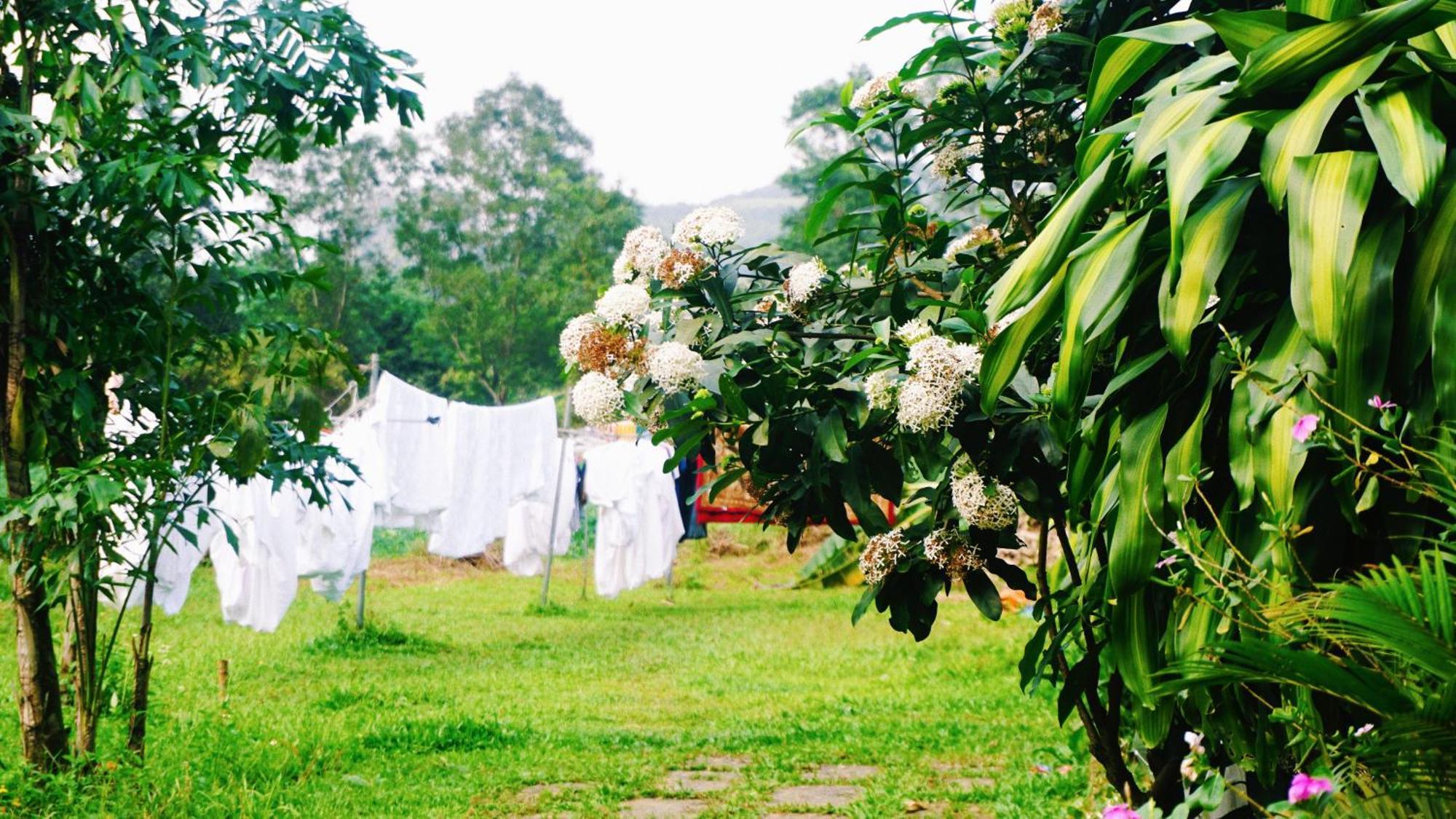 Phong Nha Eco Village Екстериор снимка