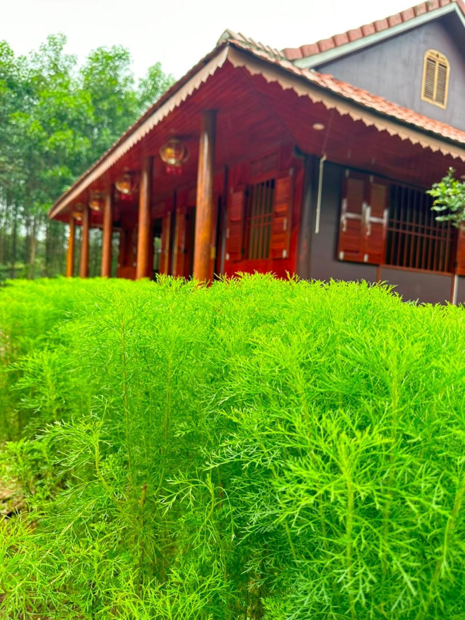 Phong Nha Eco Village Екстериор снимка