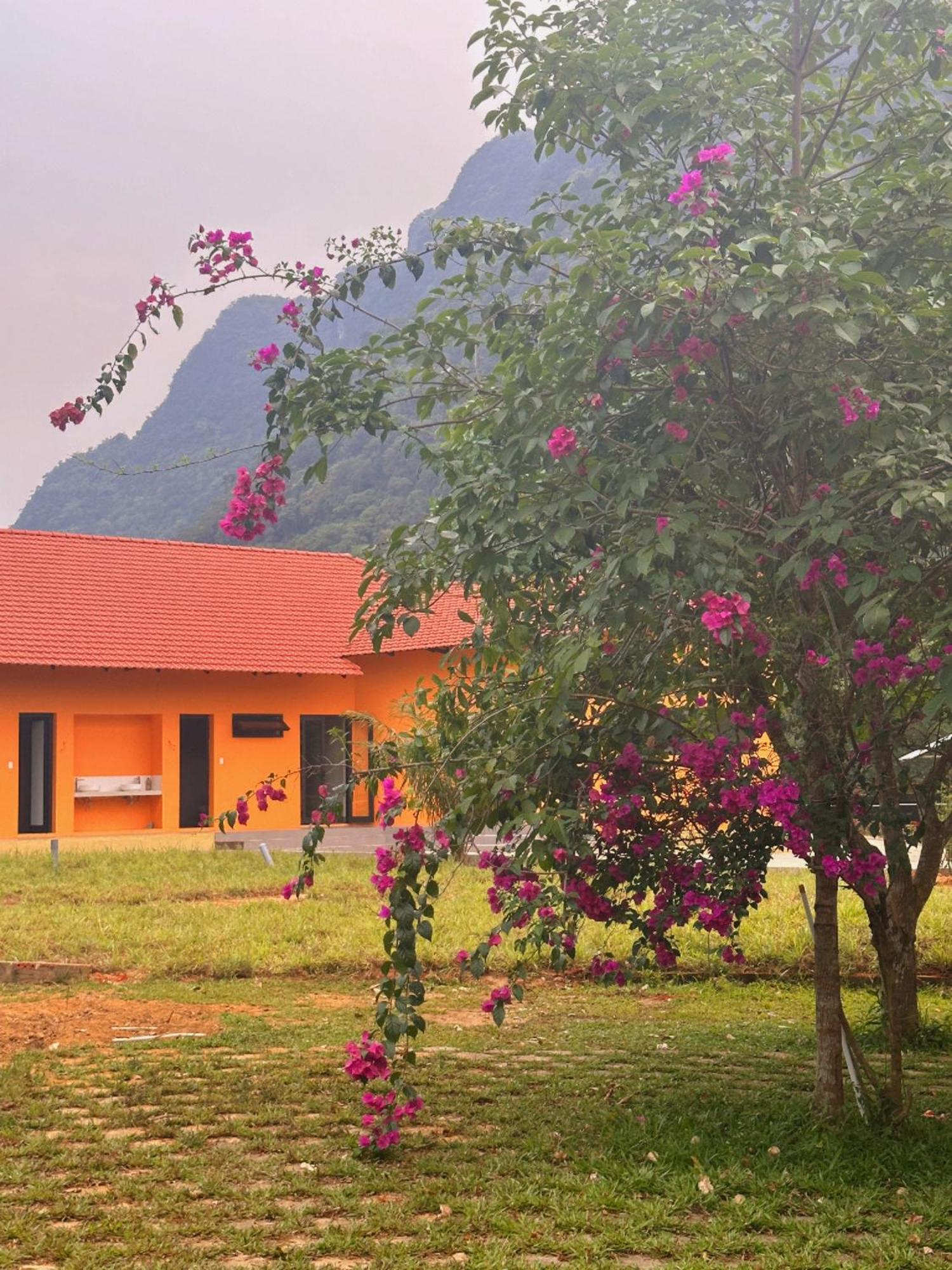 Phong Nha Eco Village Екстериор снимка