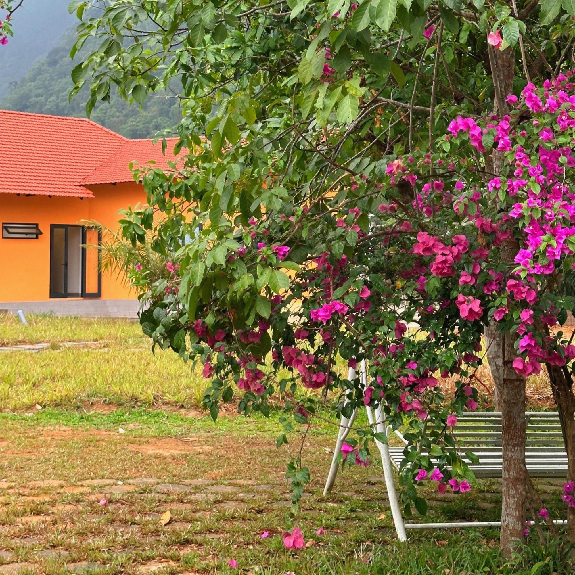 Phong Nha Eco Village Екстериор снимка